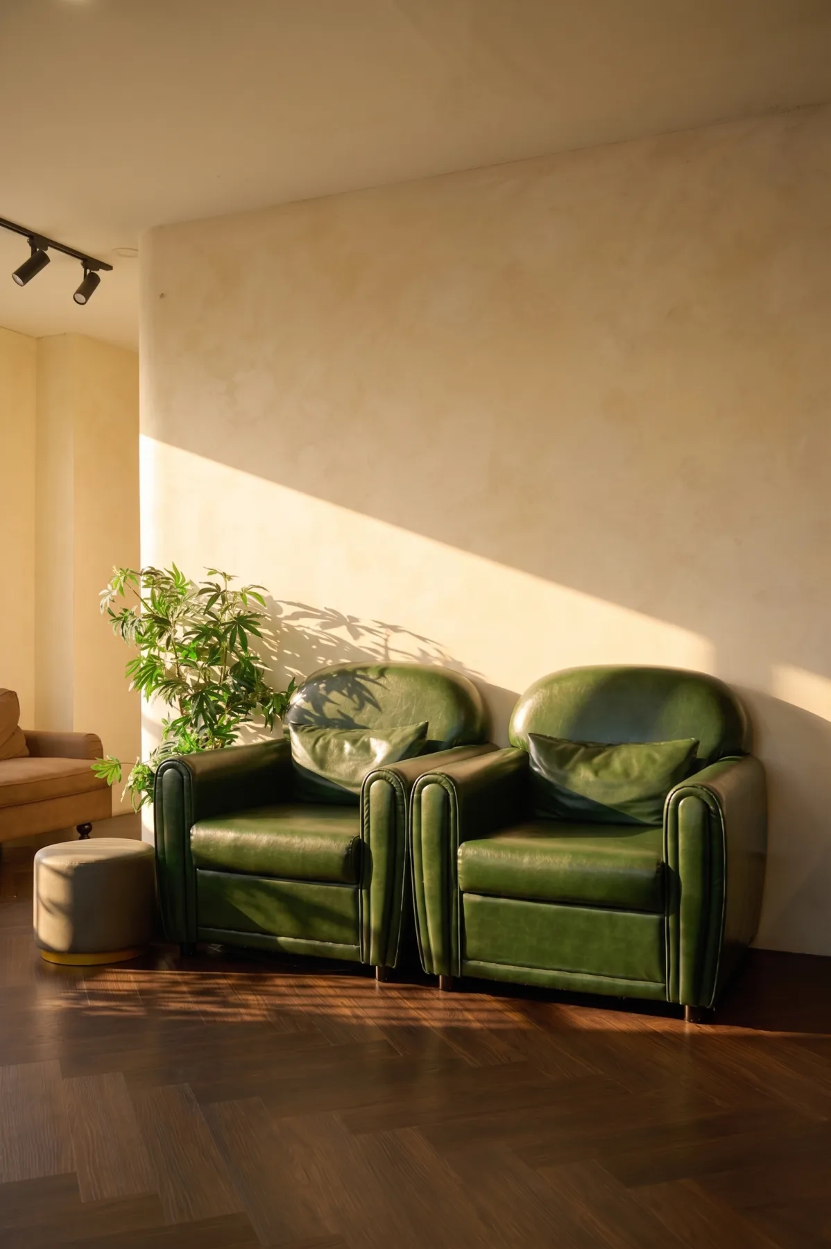 Gạo Nâu Profile Ho Chi Minh City studio interior - photo 6